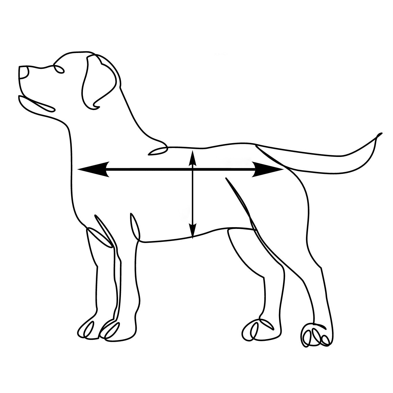 CARLO COLUCCI HUNDEWESTE