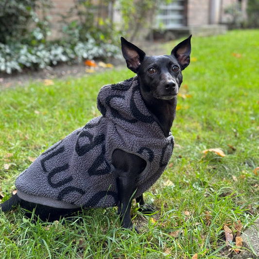 CARLO COLUCCI HUNDEWESTE